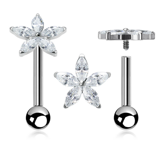 Titan Labret Kristallstern - Velvet Vista