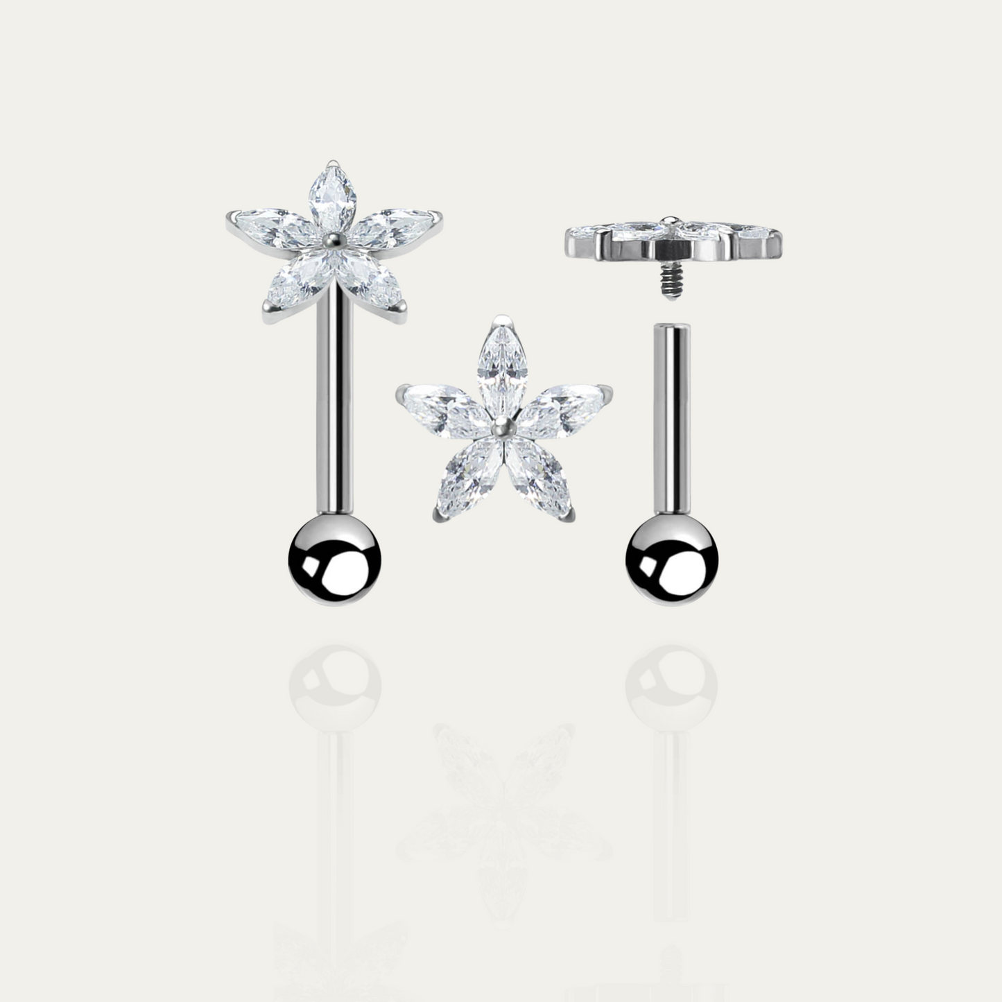 Titan Labret Kristallstern - Velvet Vista