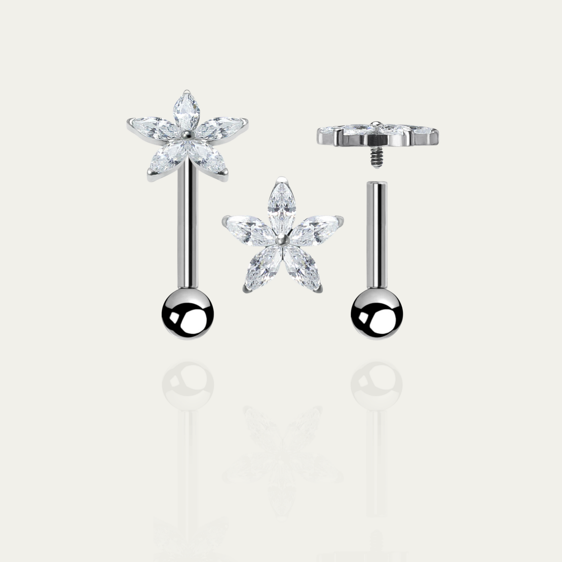 Titan Labret Kristallstern - Velvet Vista